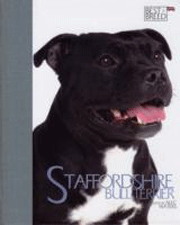 STAFFORDSHIRE BULL TERRIER - BEST OF BREED