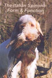 THE ITALIAN SPINONE: FORM AND FUNCTION