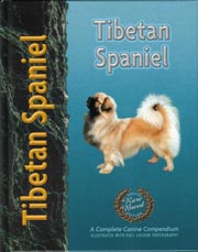 TIBETAN SPANIEL (Interpet / Kennel Club)