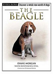 BEAGLE (Terra-Nova / Interpet)