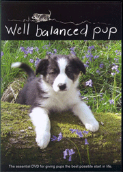 WELL-BALANCED PUP (two DVD set)