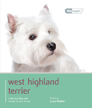 WEST HIGHLAND WHITE TERRIER