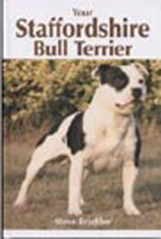 STAFFORDSHIRE BULL TERRIER YOUR
