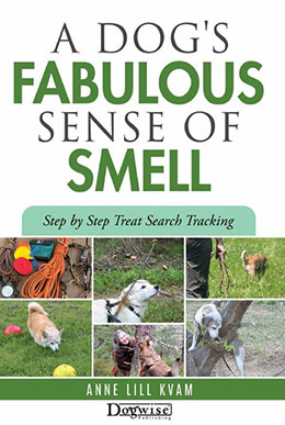 A DOGS FABULOUS SENSE OF SMELL - NEW