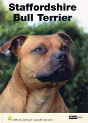 STAFFORDSHIRE BULL TERRIER (About Pets)