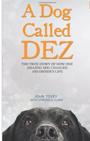 A DOG CALLED DEZ