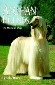 AFGHAN HOUNDS - Kingdom