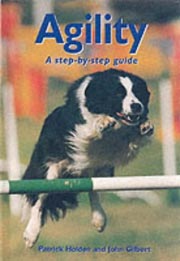 AGILITY STEP BY STEP GUIDE TO