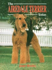 AIREDALE TERRIER