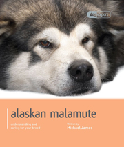 ALASKAN MALAMUTE (DOG EXPERT)