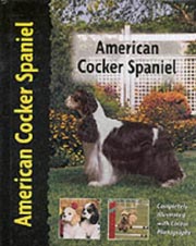 AMERICAN COCKER SPANIEL (Interpet / Kennel Club)