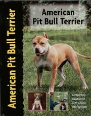 AMERICAN PIT BULL TERRIER (Interpet / Kennel Club)