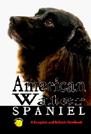 AMERICAN WATER SPANIEL