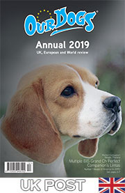OUR DOGS ANNUAL 2019 - UK POST - ON SALE