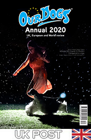 OUR DOGS ANNUAL 2020 - UK POST - ON SALE