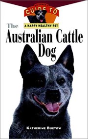 AUSTRALIAN CATTLE DOG HAPPY HEALTHY