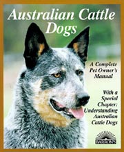 AUSTRALIAN CATTLE DOGS