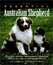 AUSTRALIAN SHEPHERD ESSENTIAL