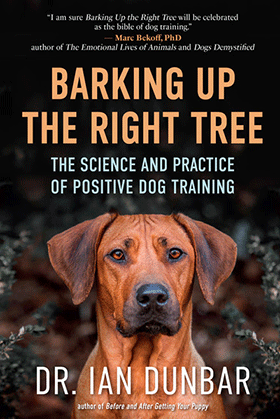 barking up the right tree - new