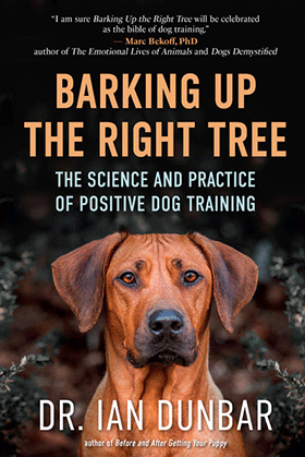 Barking up the Right Tree