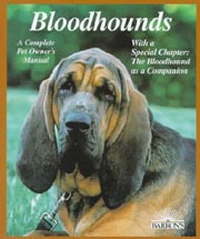 BLOODHOUNDS