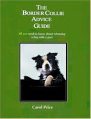 BORDER COLLIE A BASIC ADVICE GUIDE FOR OWNERS
