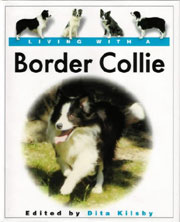 BORDER COLLIE LIVING WITH 