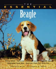 BEAGLE ESSENTIAL