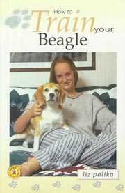 BEAGLE HOW TO TRAIN YOUR 