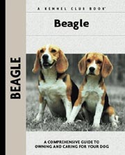 BEAGLE (Interpet / Kennel Club)