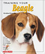 BEAGLE TRAINING YOUR