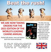 PRE-ORDER OUR DOGS ANNUAL 2021 - WITH UK POST ONLY!!!