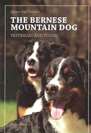 BERNESE MOUNTIAN DOG YESTERDAY AND TODAY