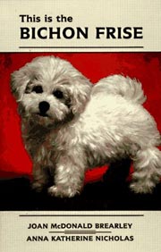 BICHON FRISE THIS IS THE