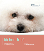 BICHON (DOG EXPERT)