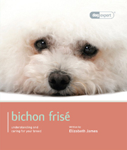 BICHON FRISE