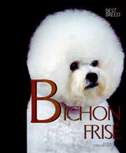 BICHON FRISE BEST OF BREED