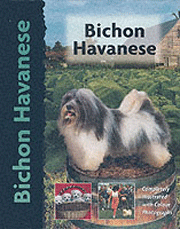 BICHON HAVANESE (INTERPET)