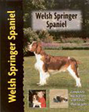 WELSH SPRINGER SPANIEL (Interpet / Kennel Club)