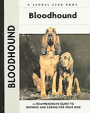 BLOODHOUND (Interpet / Kennel Club)