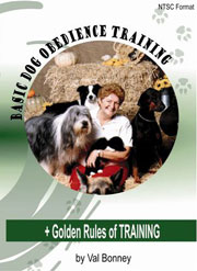 BASIC DOG OBEDIENCE TRAINING DVD