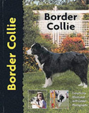 BORDER COLLIE (Interpet)