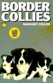 BORDER COLLIES KW