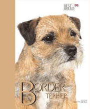 BORDER TERRIER BEST OF BREED