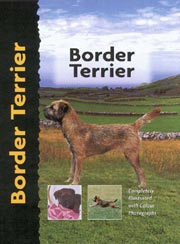 BORDER TERRIER (Interpet)