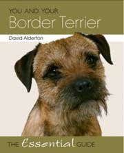 BORDER TERRIER