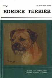 BORDER TERRIER