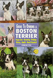 BOSTON TERRIER GUIDE TO OWNING