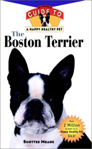 BOSTON TERRIER HAPPY HEALTHY