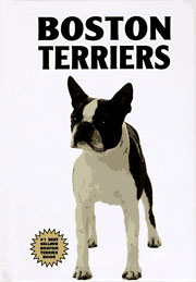 BOSTON TERRIERS KW